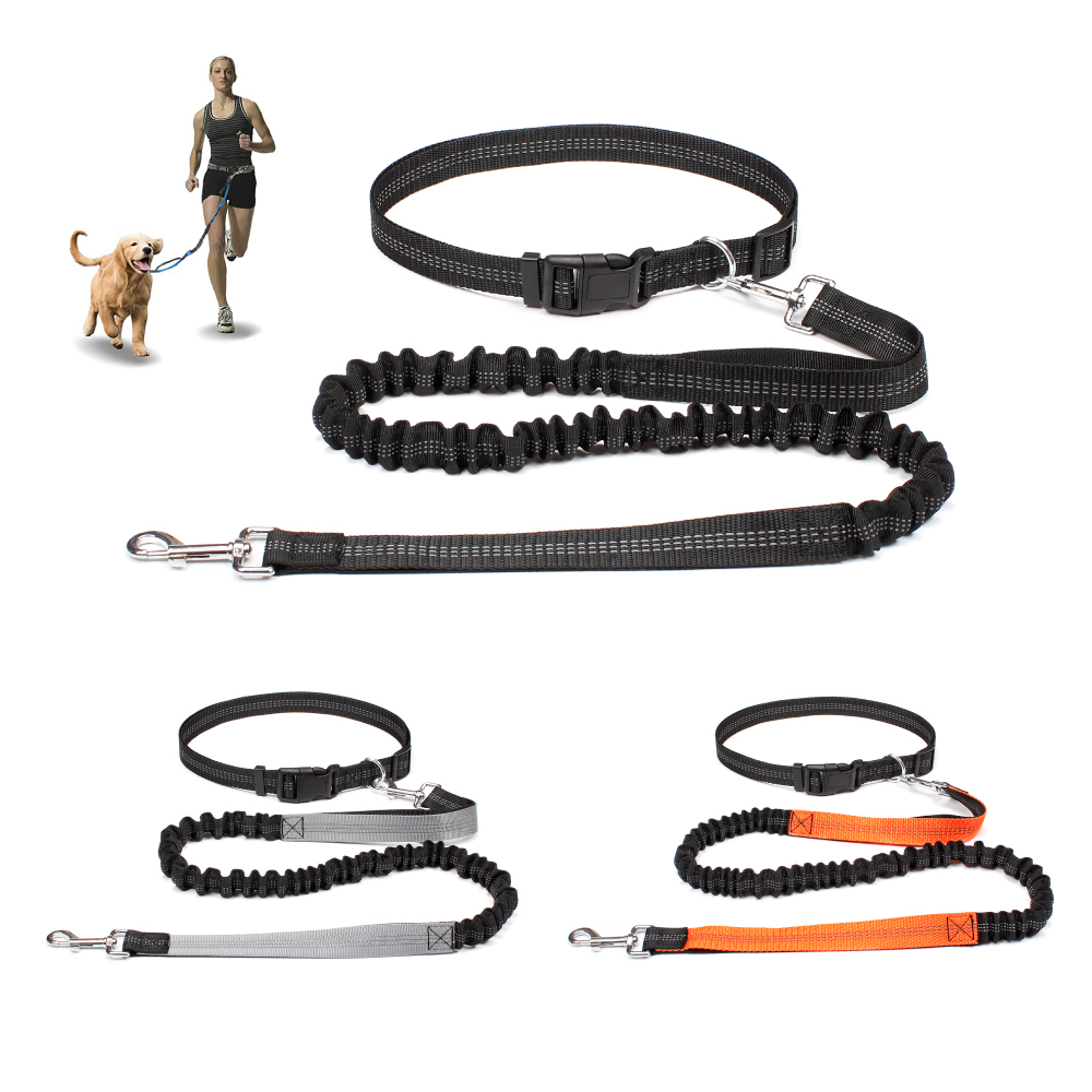 حزام كلب بدون استخدام اليدين ل - مراجعة Running Gear Holder وسعره